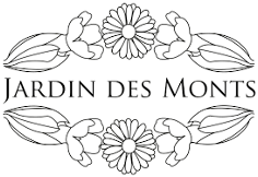 Logo Jdm